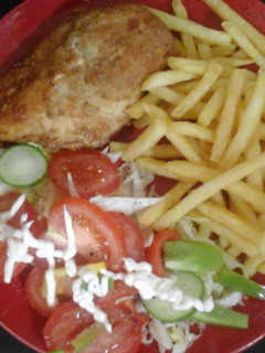 A picture of My Fried Chicken and French Fries 😃👍.