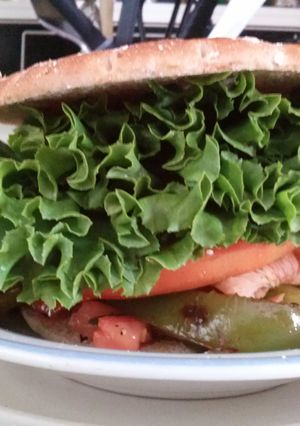 A picture of Dean's Crunchy Santa Fe Turkey Deli Sandwich.