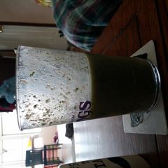 A picture of tropical fruit breakfast smoothie.