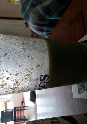 A picture of tropical fruit breakfast smoothie.