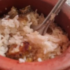 Bitter Gourd rice in a pot. (Diabetic vegan) L.N.S. A picture of Bitter Gourd rice in a pot. (Diabetic vegan) L.N.S..