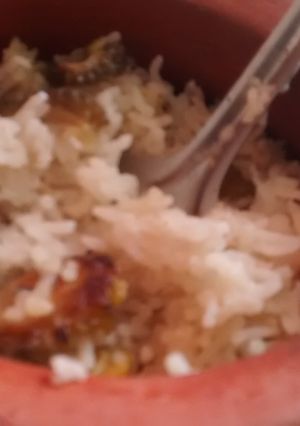 A picture of Bitter Gourd rice in a pot. (Diabetic vegan) L.N.S..