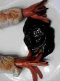 Squid Dogs W/ Ink ( Halloween )