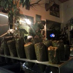 A picture of Brad's bacon and deer stuffed jalapeno peppers.