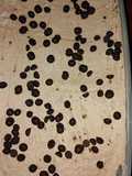 Gelato senza gelatiera al cioccolato