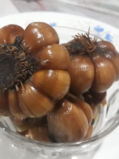 عکسی از دستور سیرترشی (خودم پز)