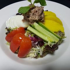 A picture of Nicoise salad.