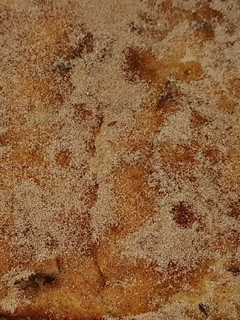 A picture of Quick Coffee Cake with Raw Fruit Adapted by Rebecca Sackheim.