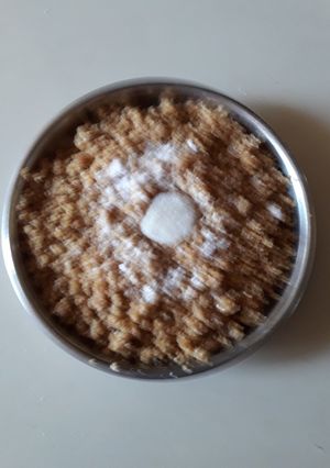 લાપસી (Lapsi Recipe In Gujarati) રેસીપી મુખ્ય ફોટો