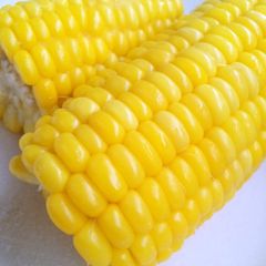 A picture of Naturally Sweet Steamed Fresh Corn in 5 Minutes.