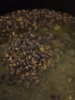 A picture of Herbal Simple Syrups.