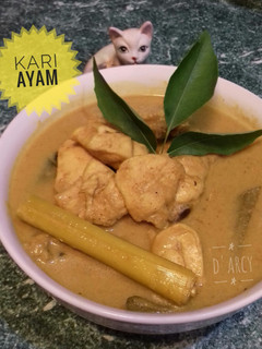 Foto resep #16 - Kari Ayam