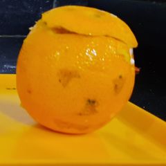 A picture of Buttermilk Jack a moon lantern.