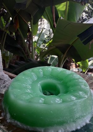 Foto resep 19# agar agar hijau santan