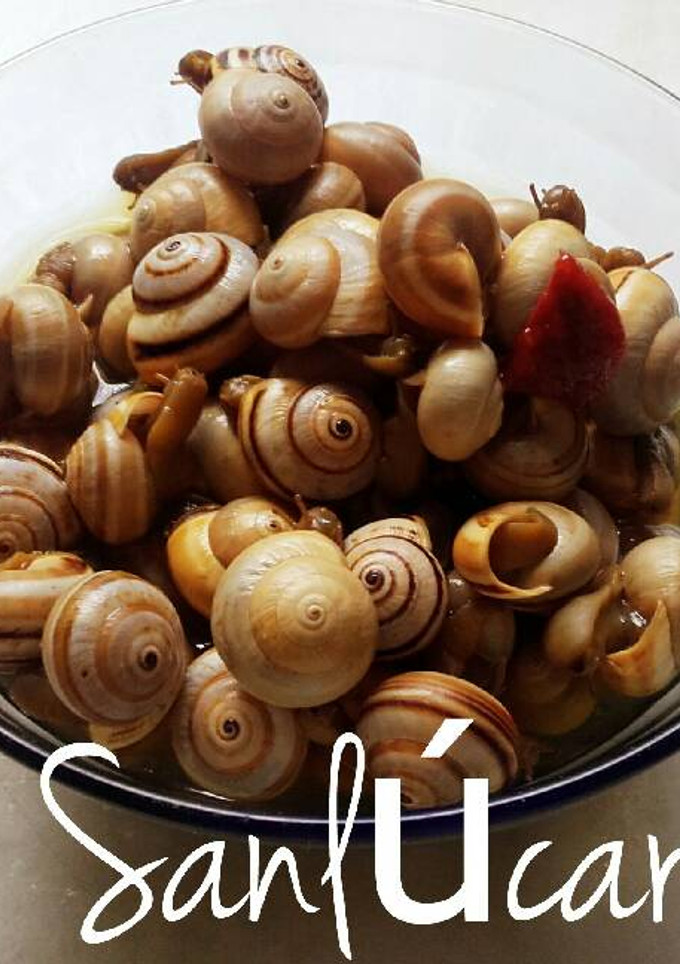Una foto de Tapa típica de caracoles
