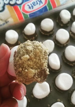 A picture of S'more Bonbons.