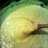 Patricia's Creamy Broccoli and Cheese soup.