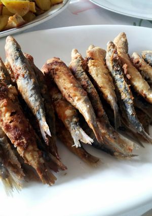 A picture of AMIEs Fish Sticks.