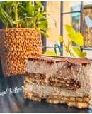 Marie Biscuits Tiramisu