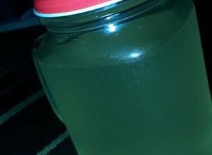 Una foto de Suero casero