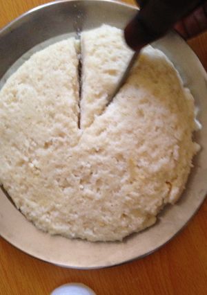 A picture of Ugali.