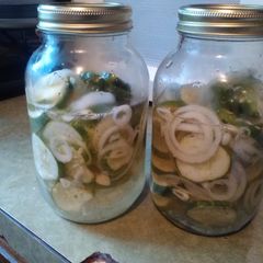 A picture of Refrigerator pickles.