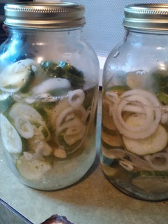 A picture of Refrigerator pickles.