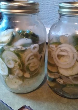 A picture of Refrigerator pickles.
