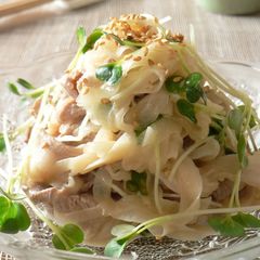 A picture of Sweet Onion and Pork Salad with Garlic and Mayo.