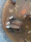 Beef, Mushroom & Barley Soup