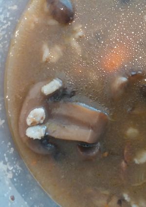 A picture of Beef, Mushroom & Barley Soup.