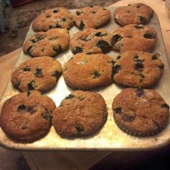 A picture of Blueberry Muffins.