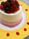 Tricolor Berry Bavarois-Style Cake