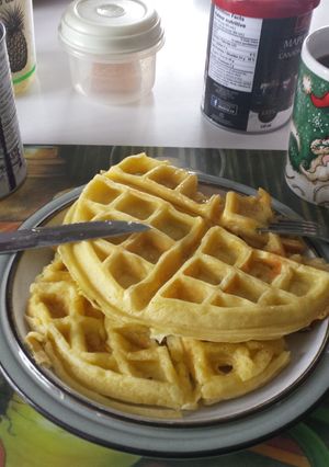 A picture of Waffles.
