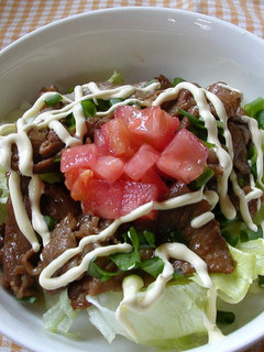 A picture of Pork and Salad Rice Bowl.