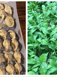 A picture of Wild chives boiled dumplings.