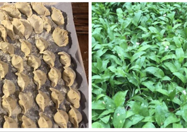 Steps to Prepare Homemade Wild chives boiled dumplings