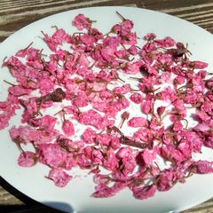 A picture of Pickled cherry blossom.