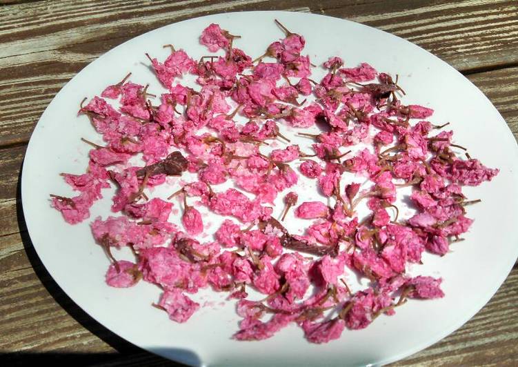 Simple Way to Prepare Speedy Pickled cherry blossom