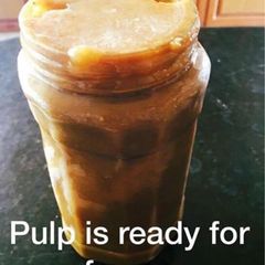 A picture of My homemade Chiko pulp.