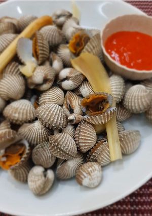 Foto resep Kerang Darah Rebus