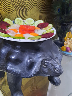 સલાડ(Salad recipe in Gujarati) રેસીપી મુખ્ય ફોટો