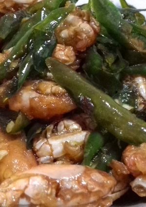 Foto resep Tempenyol Tumis Cabe Ijo