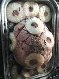 Aryca's Easter Ham