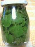Mint Liqueur Fruit Wine Recipe No. 4