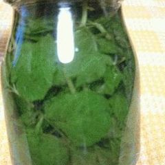 A picture of Mint Liqueur Fruit Wine Recipe No. 4.