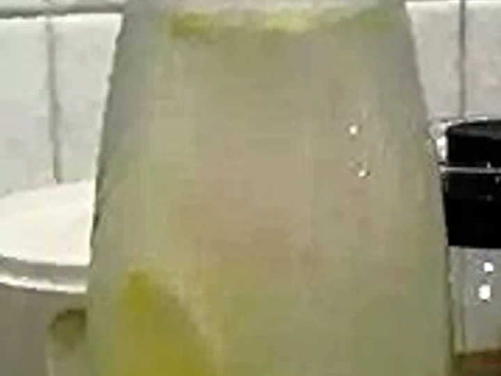 Easy Way Make Double power lemonade the Awesome  Appealing