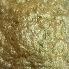 A picture of Easy Brownies.