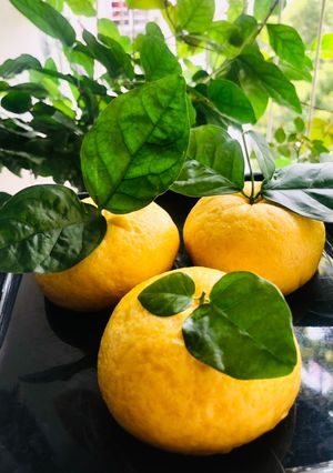 Hình của món Bánh bao quả quýt.