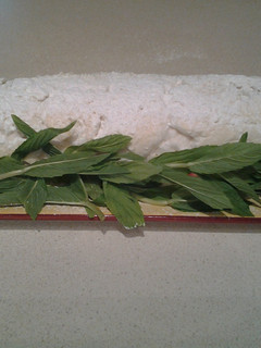 A picture of pavlova roll.